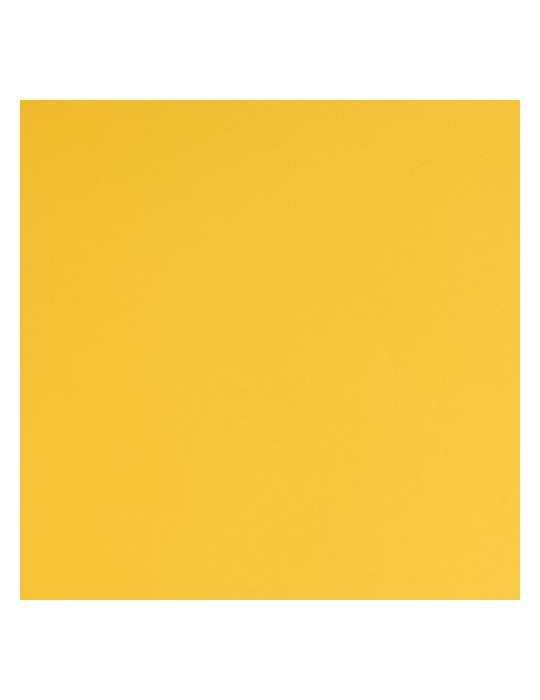 E3110M - Jaune Vif Mat